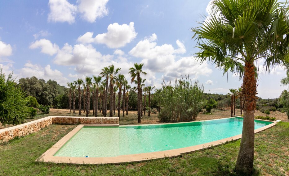 IMG_0445-Pano