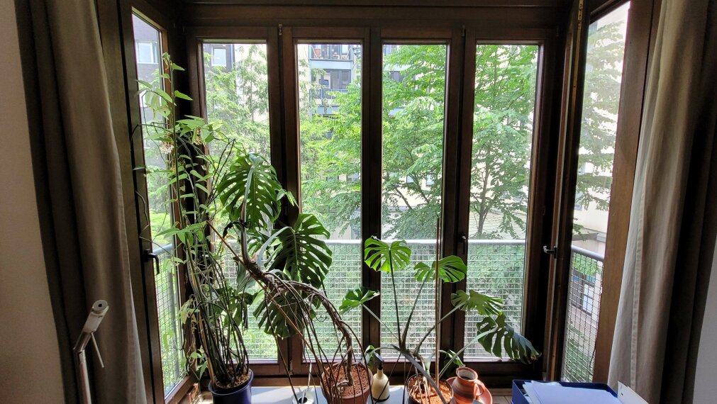 Ausblick