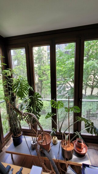 Ausblick